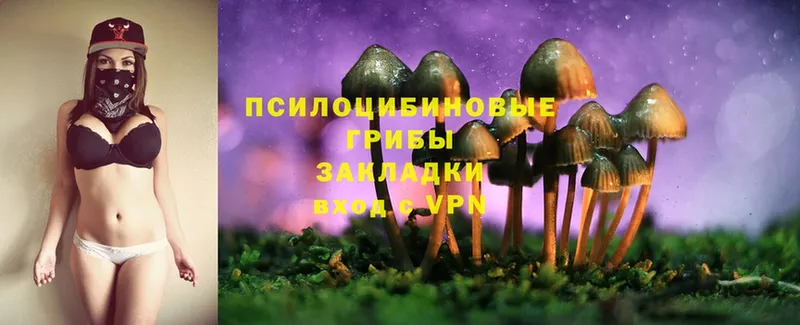 Псилоцибиновые грибы Cubensis  продажа наркотиков  kraken ТОР  Ступино 